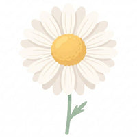 Chamomile
